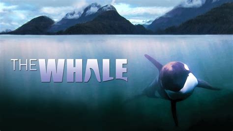 The Whale subtitles English .